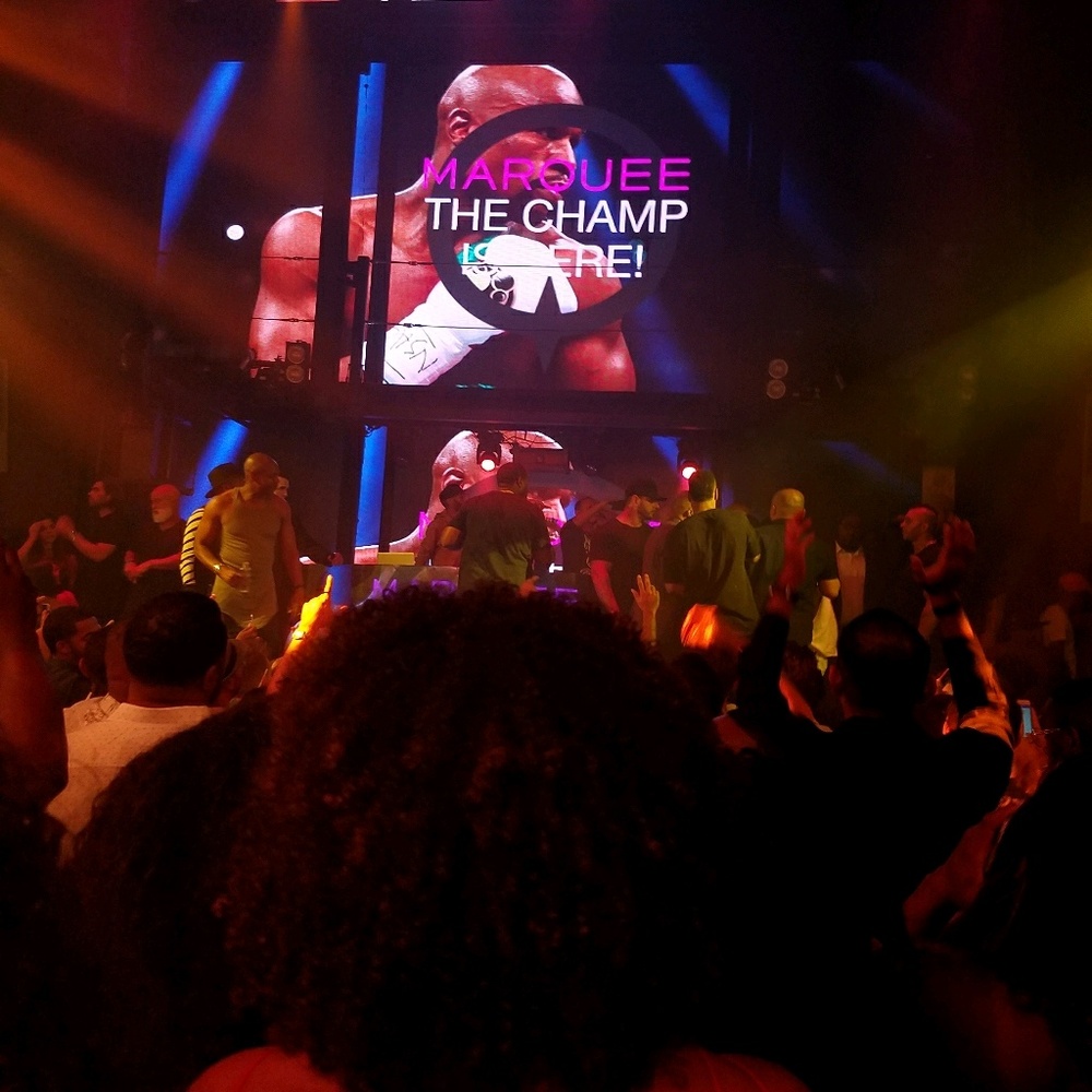 Meet your Posher, Celestine